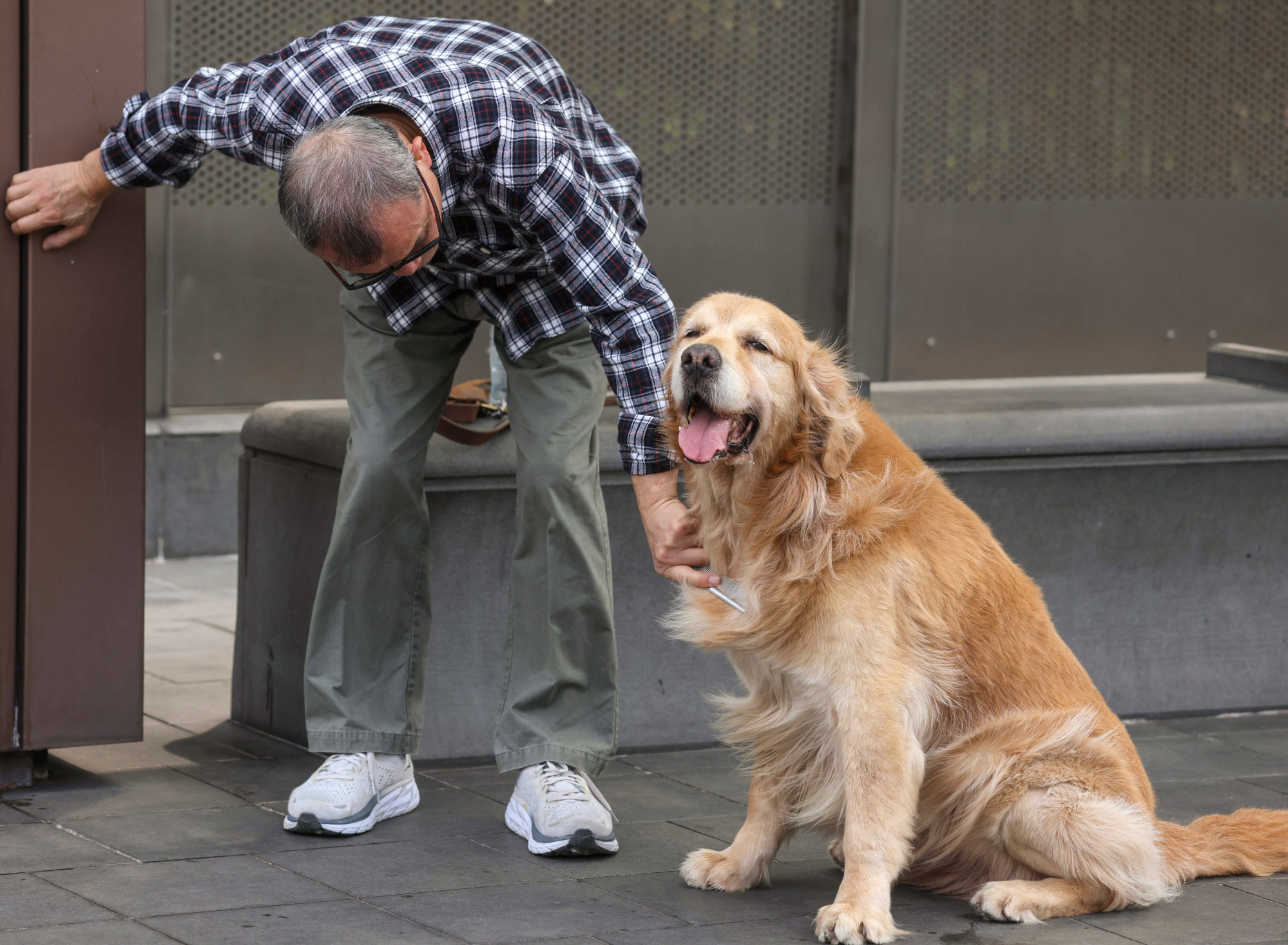 Pet Insurance Hong Kong