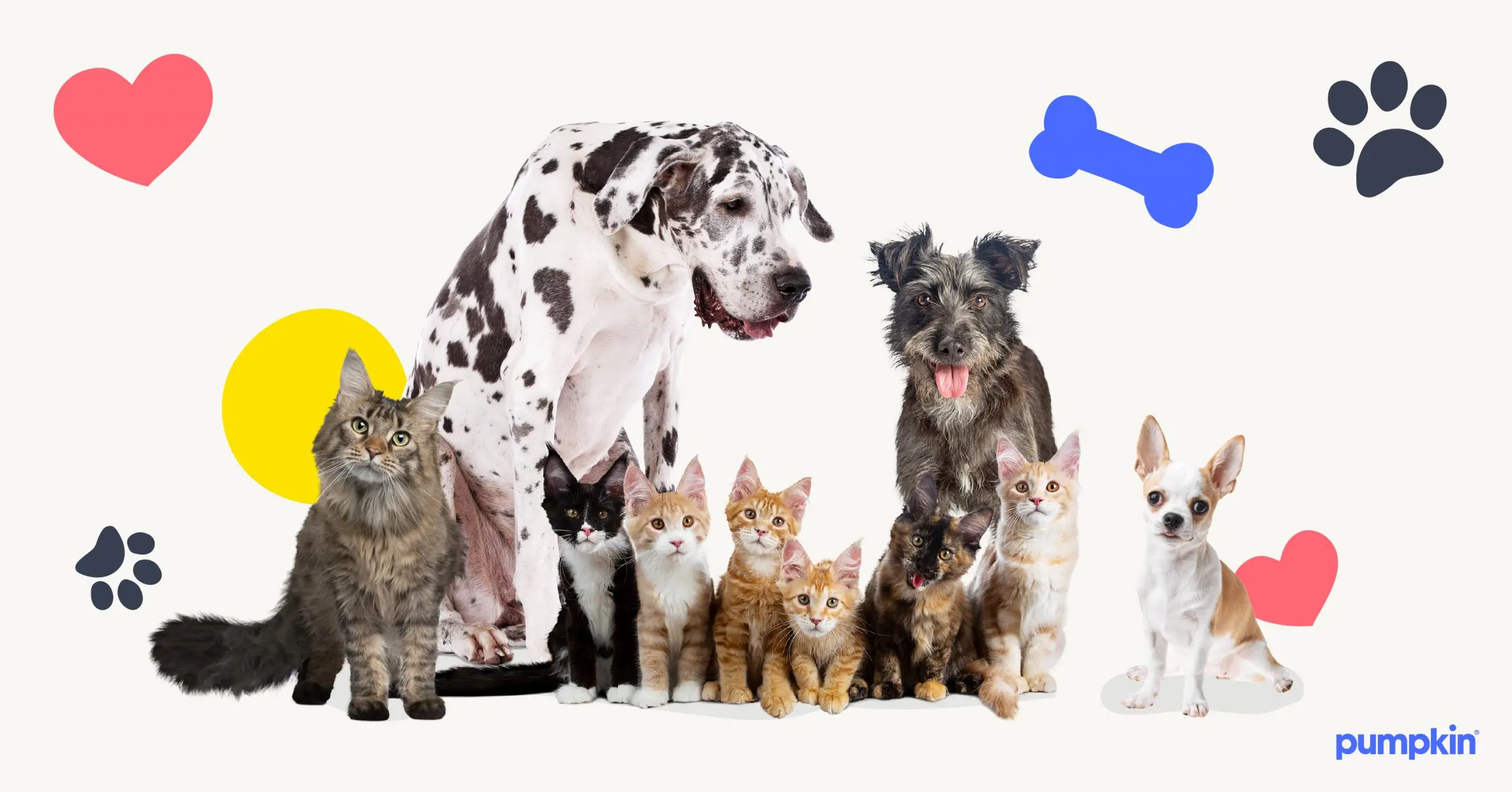 One Degree Pet Insurance Hong Kong