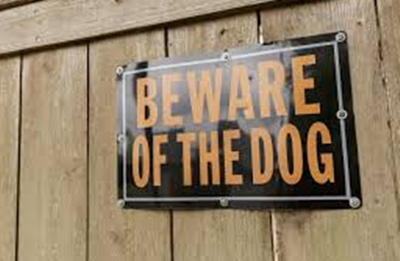 Dog Bite Laws San Bernardino