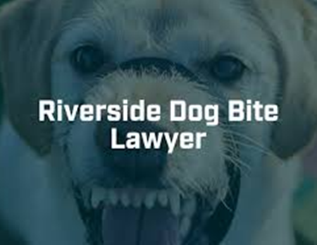 Riverside Dog Bite Attorney