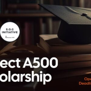 AGIF undergraduate scholarship on going