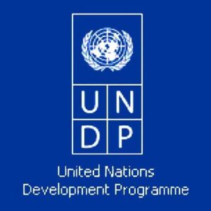 UNDP is offering an internship program for digital transformation