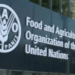 Food And Agriculture Organization FAO Internship Program is a learning opportunity aiming to attract talented young women and men