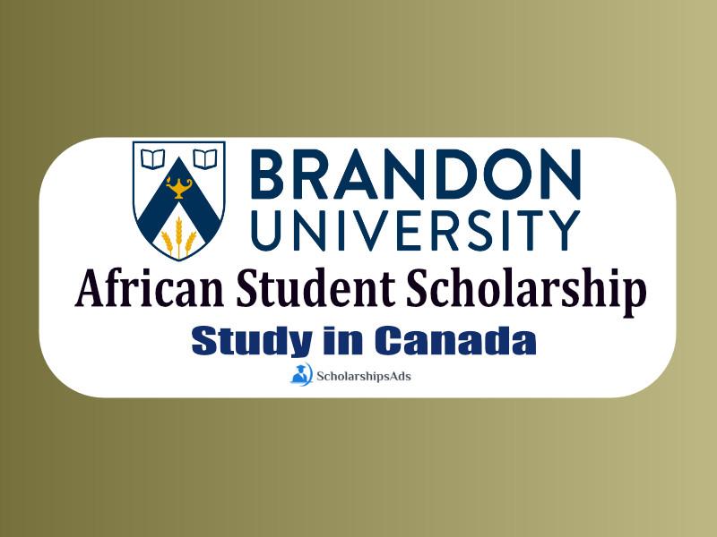 study in Canada scholarships for Africans
