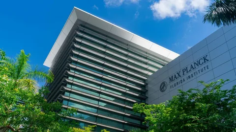 Max Planck Institute Law Internship 2023: