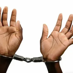 Police arrest 11 students for killing two secondary school boys in Kano