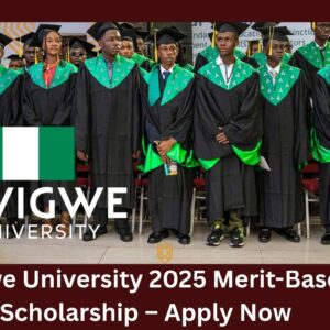 Wigwe University Merit Scholarship 2025 for Nigerians