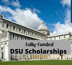 University of Pisa DSU Scholarship in Italy 2025/2026 (Fully Funded)